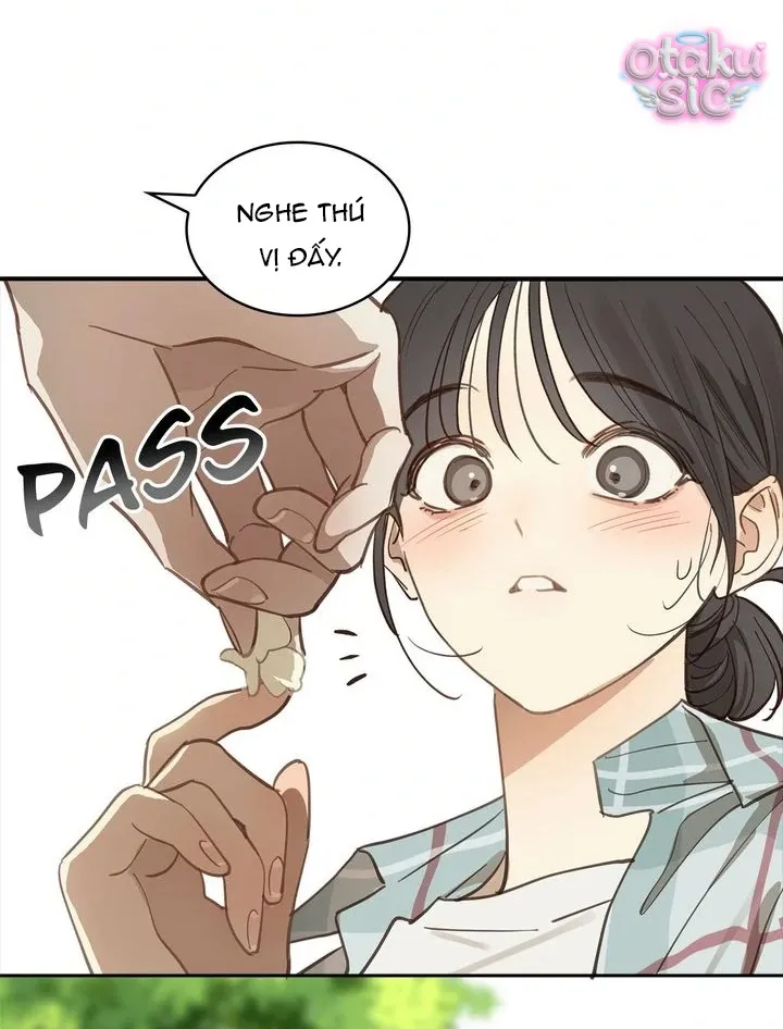 Hoa Là Mồi Nhử - Chap 19 - Trang 14
