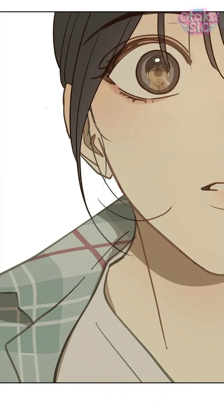 Hoa Là Mồi Nhử - Chap 19 - Trang 19