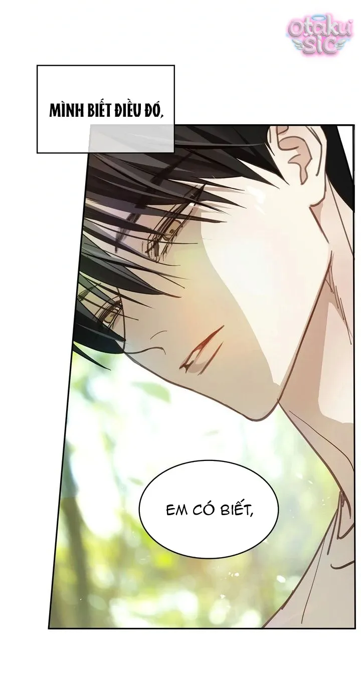 Hoa Là Mồi Nhử - Chap 19 - Trang 24