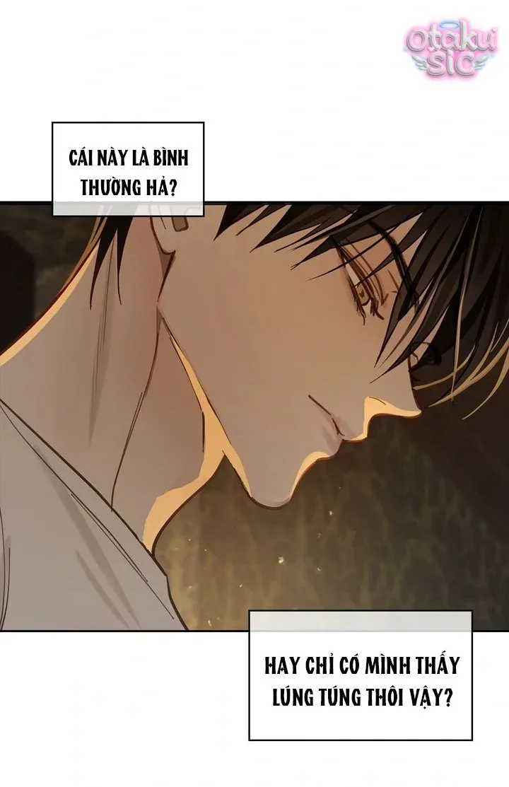Hoa Là Mồi Nhử - Chap 20 - Trang 41