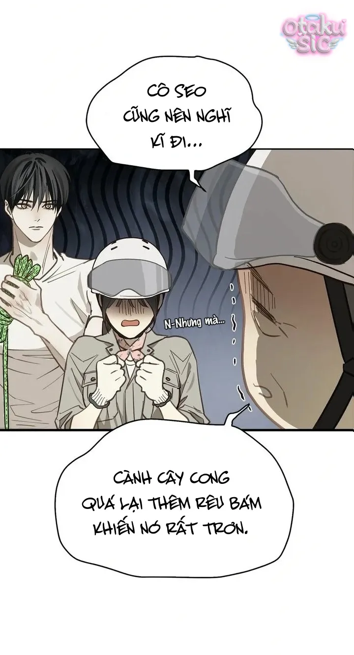 Hoa Là Mồi Nhử - Chap 21 - Trang 18