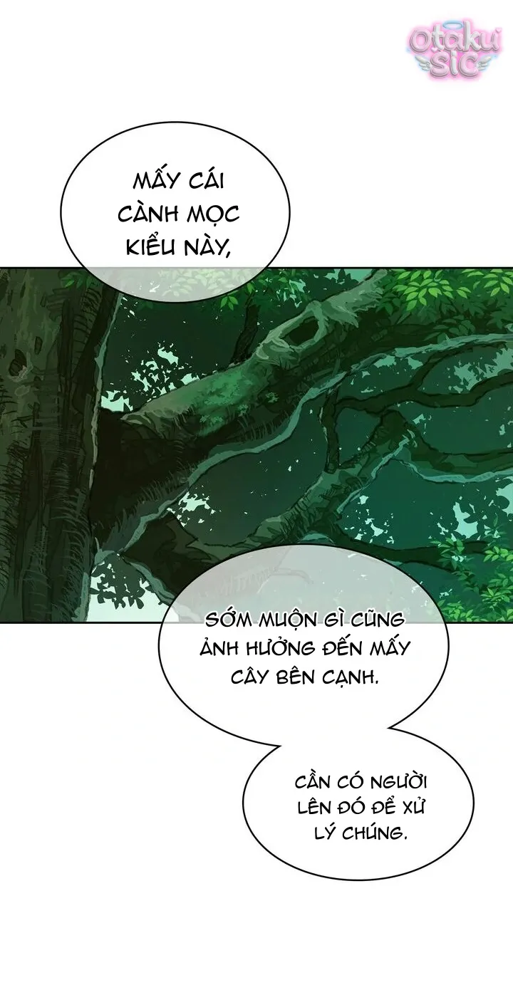 Hoa Là Mồi Nhử - Chap 21 - Trang 22