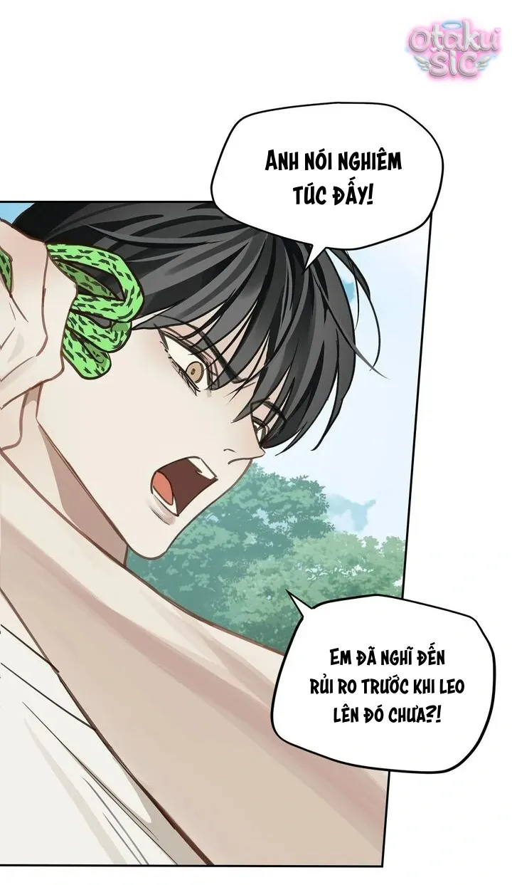 Hoa Là Mồi Nhử - Chap 21 - Trang 26
