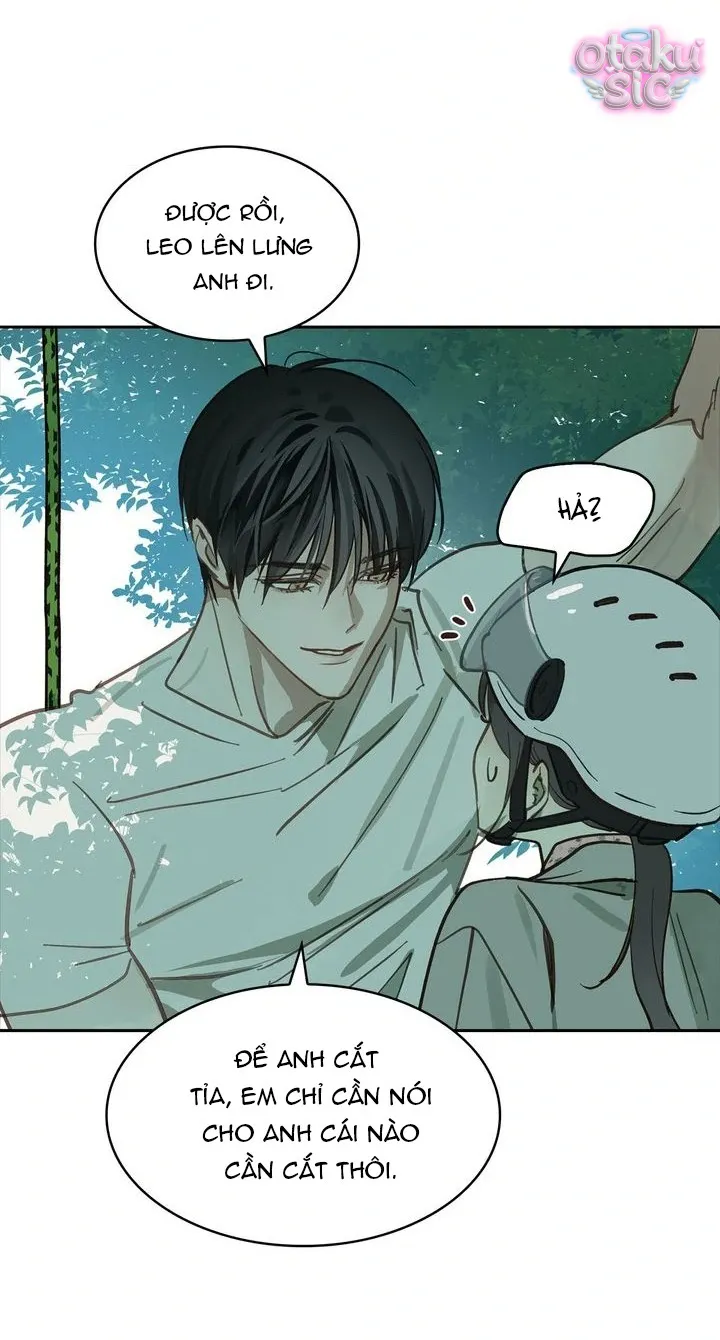 Hoa Là Mồi Nhử - Chap 22 - Trang 15