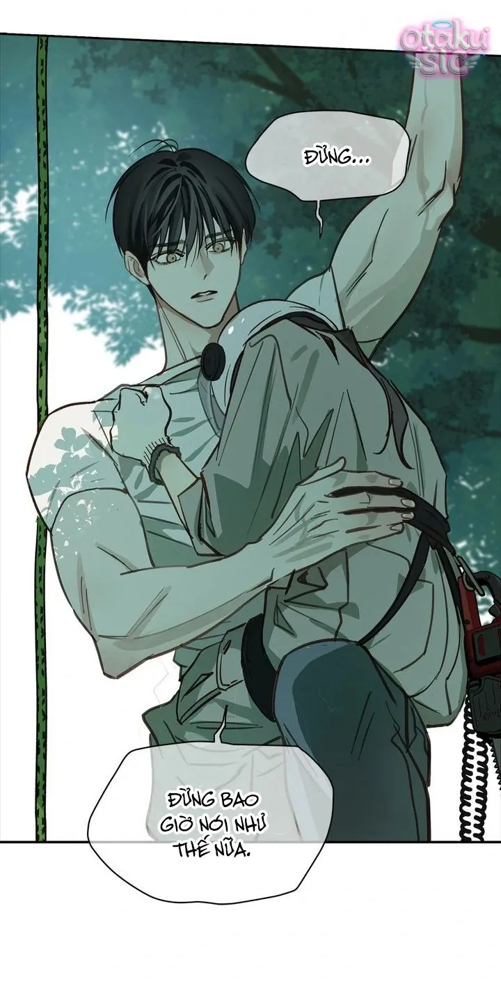 Hoa Là Mồi Nhử - Chap 22 - Trang 19