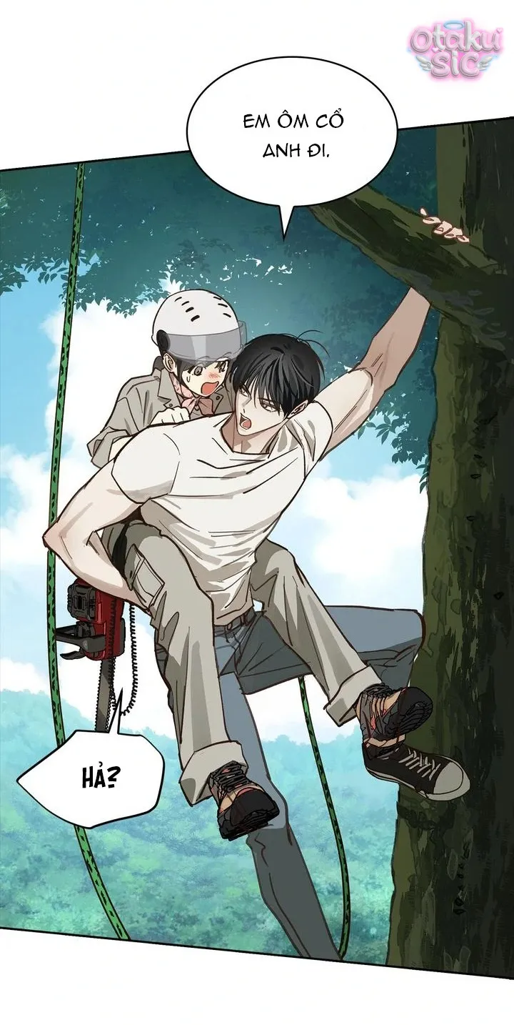 Hoa Là Mồi Nhử - Chap 22 - Trang 29