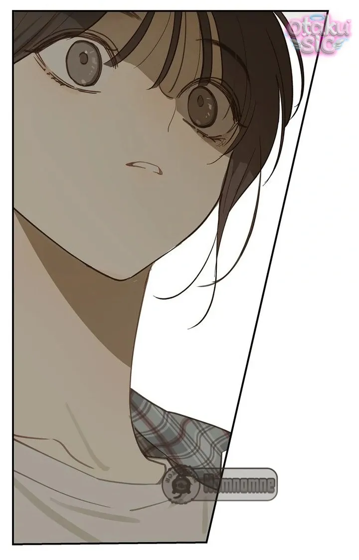 Hoa Là Mồi Nhử - Chap 24 - Trang 39