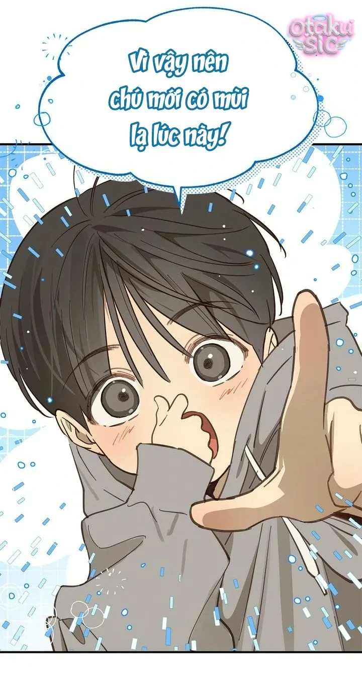 Hoa Là Mồi Nhử - Chap 25 - Trang 11