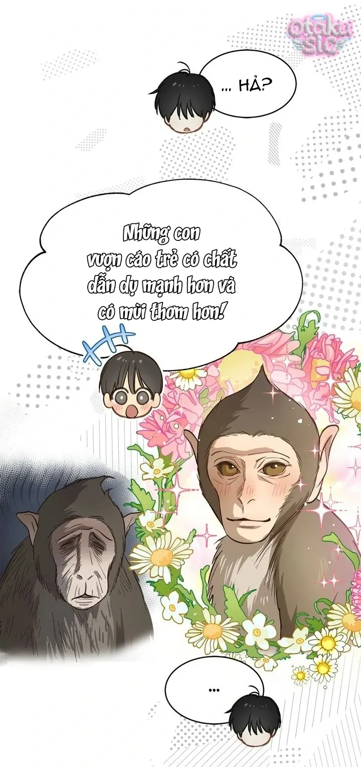 Hoa Là Mồi Nhử - Chap 25 - Trang 14