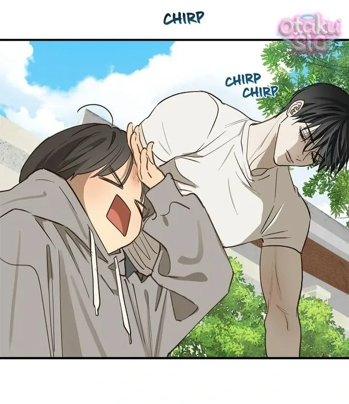 Hoa Là Mồi Nhử - Chap 25 - Trang 17