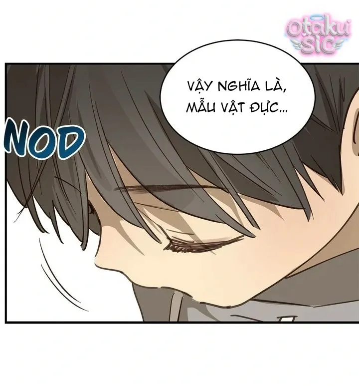 Hoa Là Mồi Nhử - Chap 25 - Trang 20