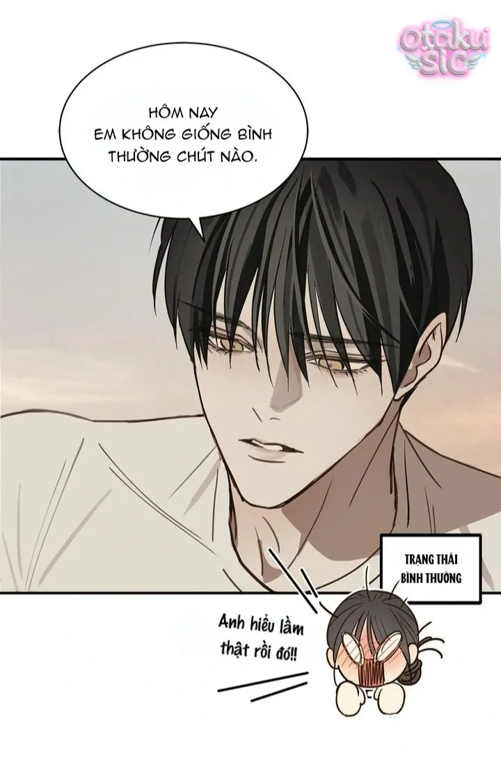 Hoa Là Mồi Nhử - Chap 26 - Trang 38