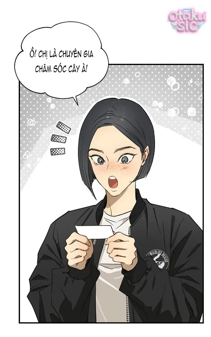 Hoa Là Mồi Nhử - Chap 28 - Trang 50