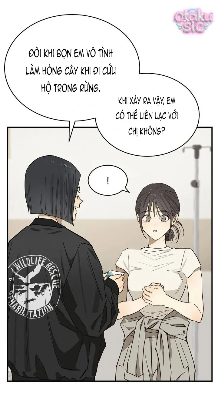 Hoa Là Mồi Nhử - Chap 28 - Trang 51
