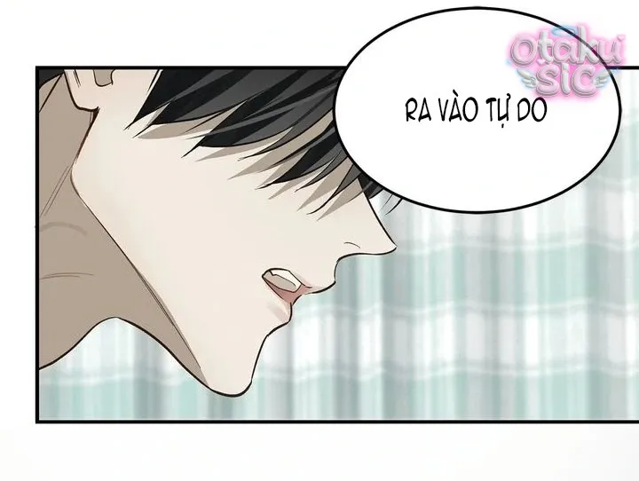 Hoa Là Mồi Nhử - Chap 28 - Trang 9