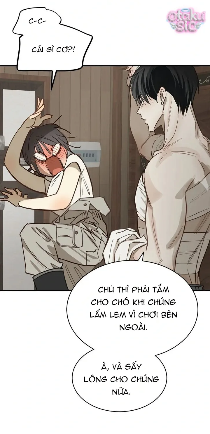 Hoa Là Mồi Nhử - Chap 29 - Trang 10