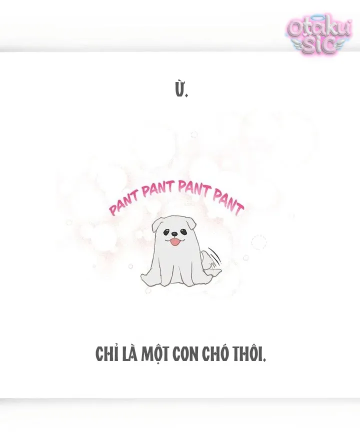 Hoa Là Mồi Nhử - Chap 29 - Trang 17