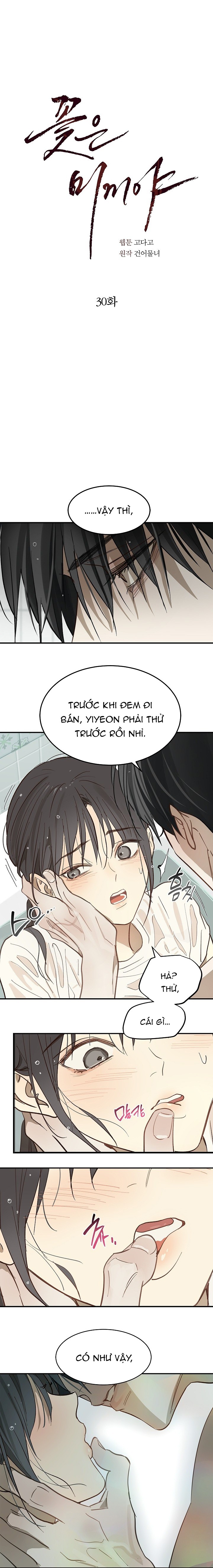 Hoa Là Mồi Nhử - Chap 30 - Trang 0