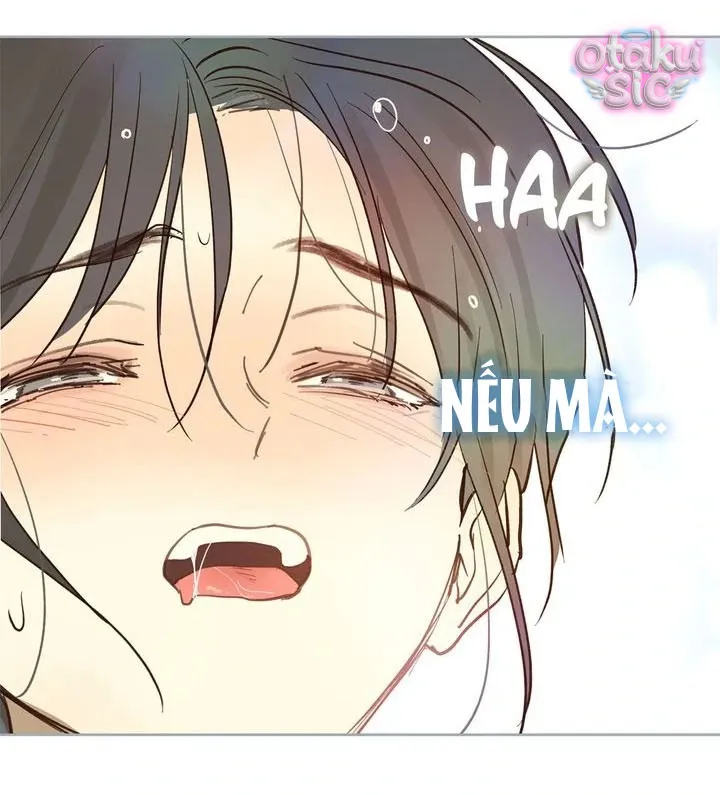 Hoa Là Mồi Nhử - Chap 30 - Trang 40