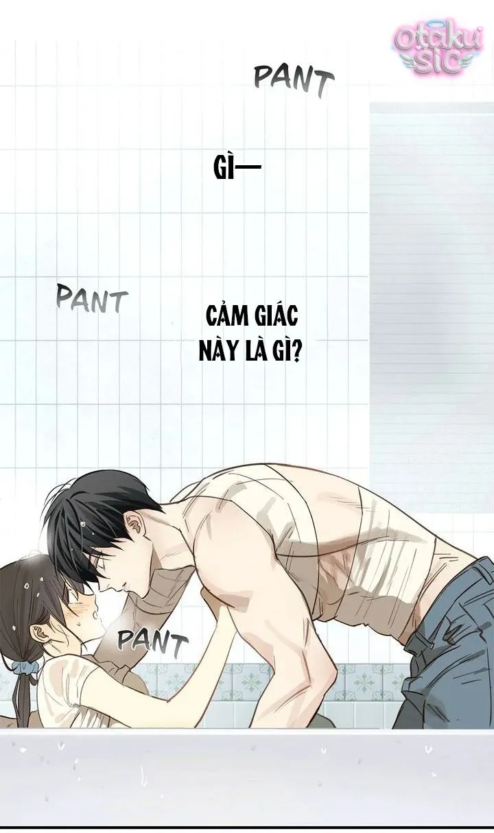 Hoa Là Mồi Nhử - Chap 30 - Trang 43