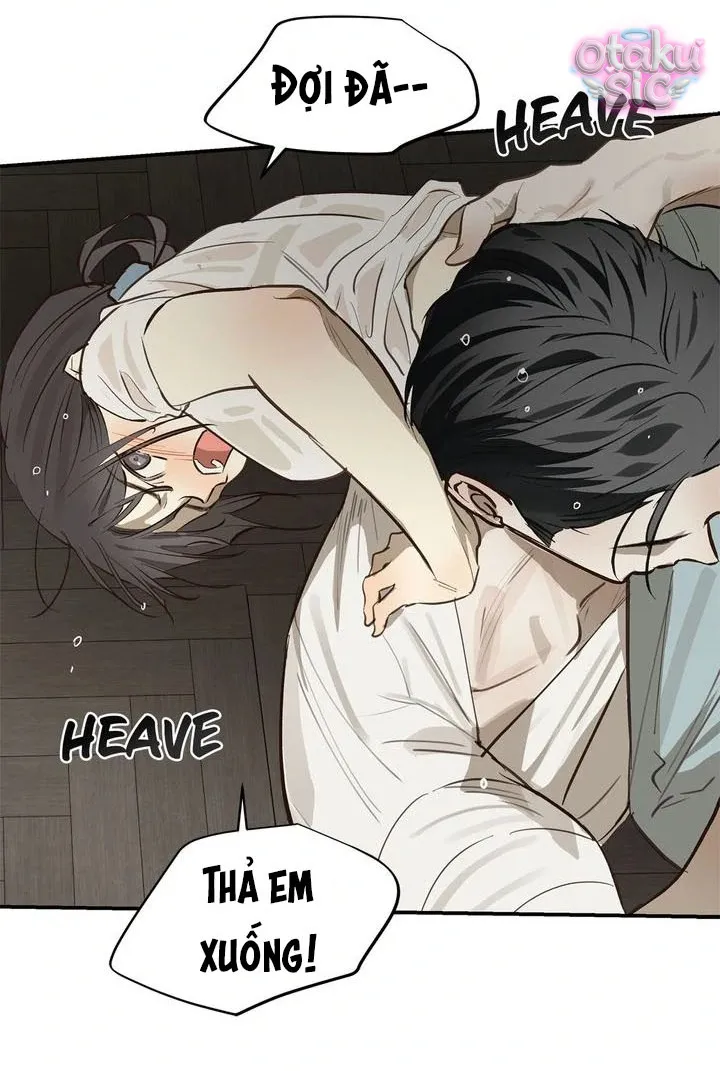Hoa Là Mồi Nhử - Chap 31 - Trang 2