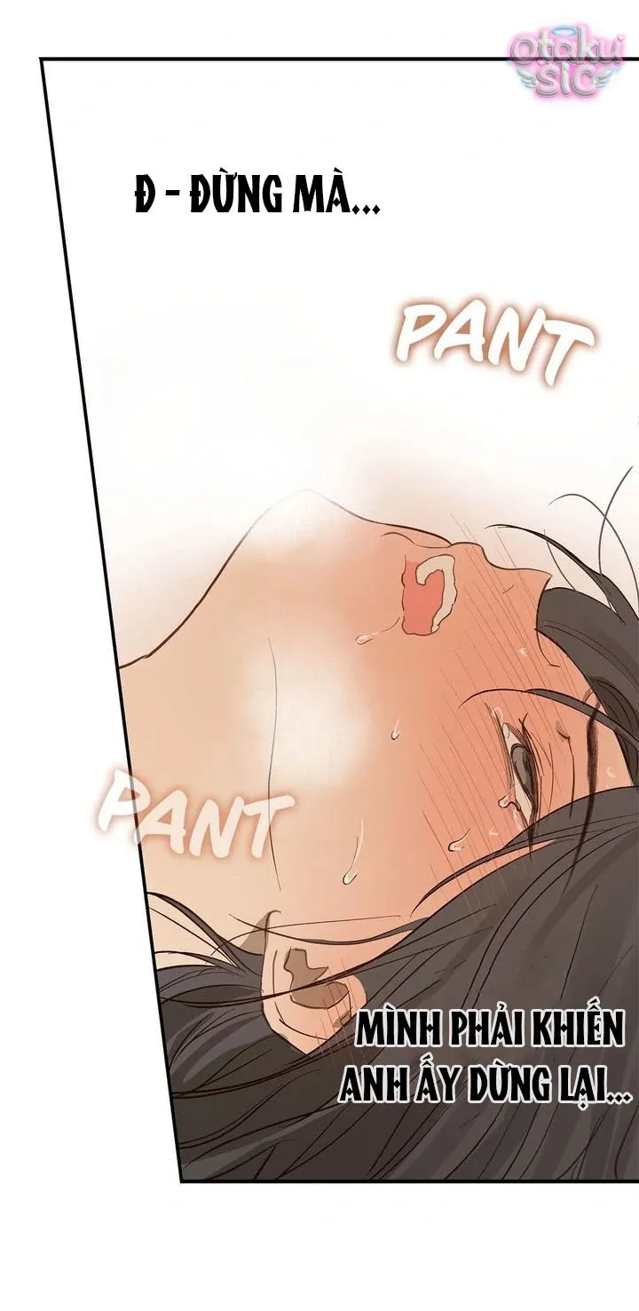 Hoa Là Mồi Nhử - Chap 31 - Trang 22