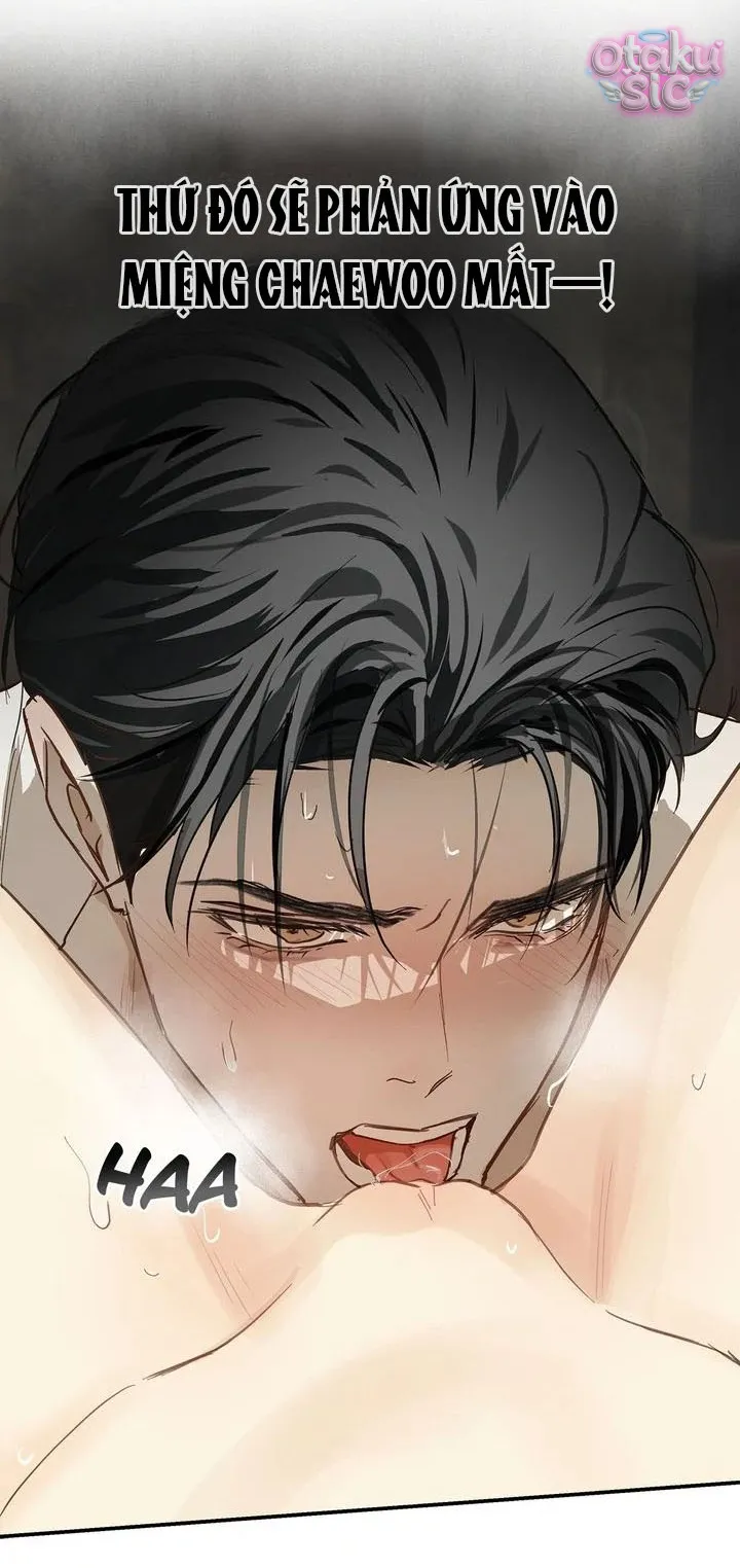 Hoa Là Mồi Nhử - Chap 31 - Trang 26