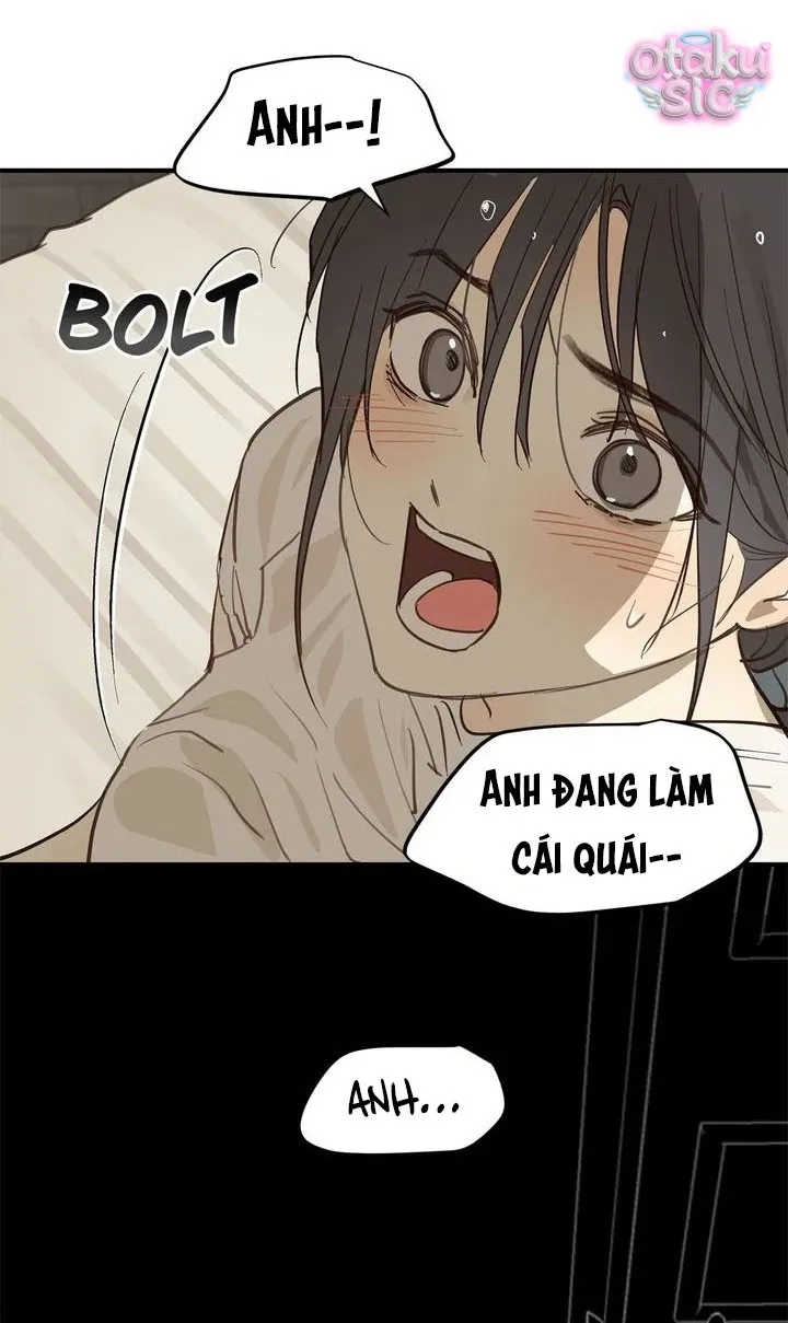 Hoa Là Mồi Nhử - Chap 31 - Trang 4