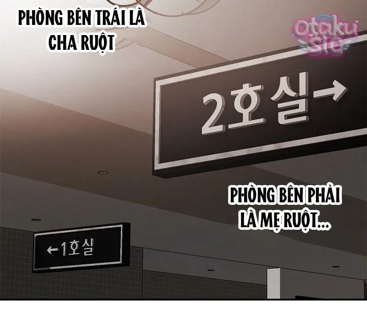 Hoa Là Mồi Nhử - Chap 33 - Trang 17