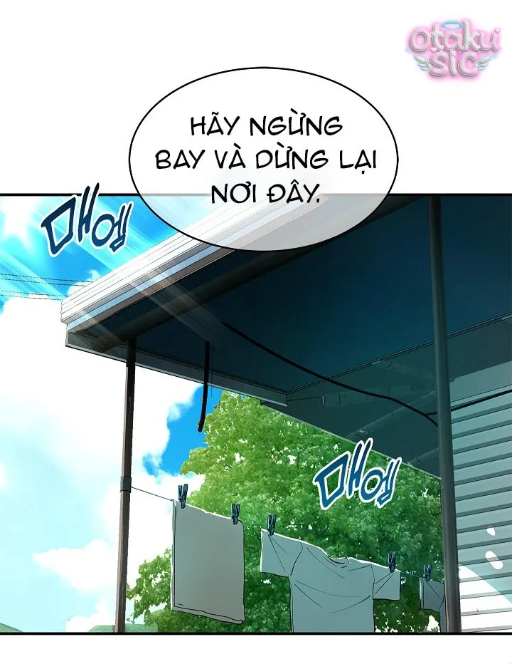 Hoa Là Mồi Nhử - Chap 33 - Trang 2