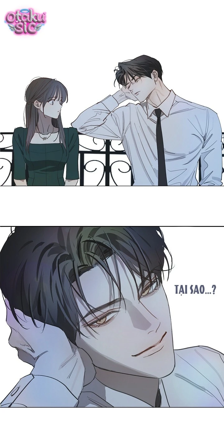 Hoa Là Mồi Nhử - Chap 36 - Trang 17