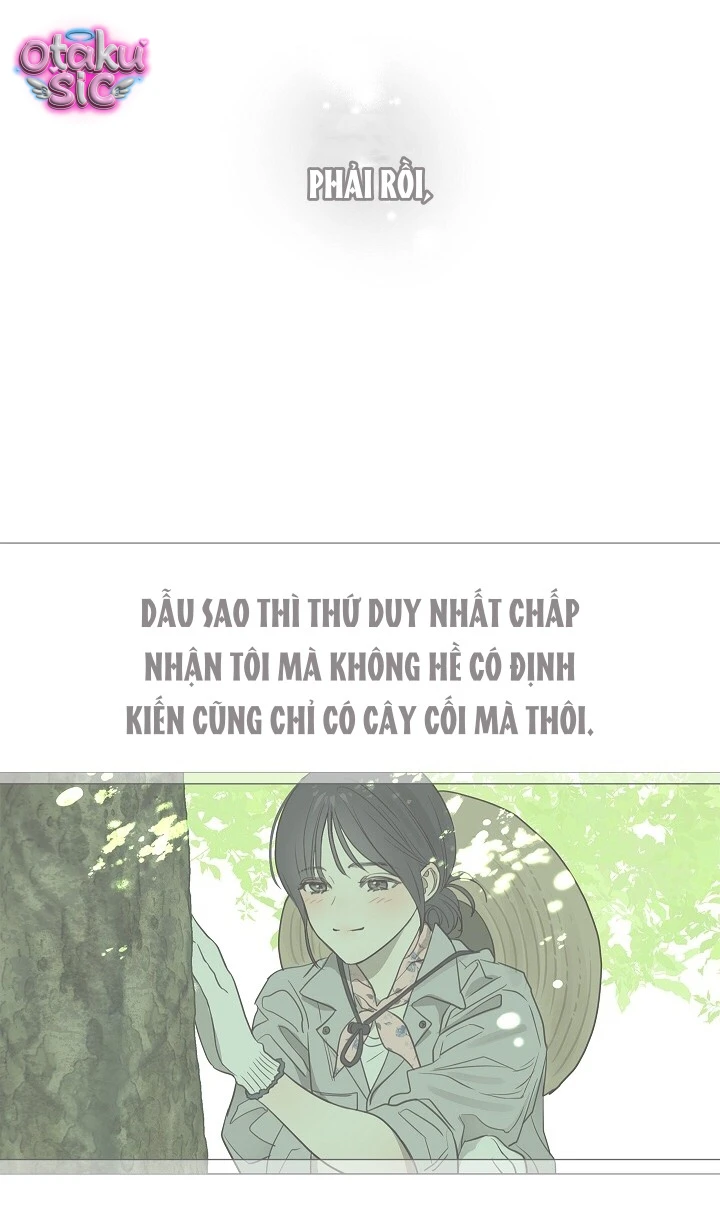 Hoa Là Mồi Nhử - Chap 36 - Trang 20
