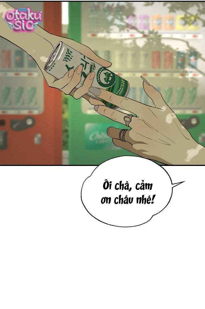 Hoa Là Mồi Nhử - Chap 36 - Trang 41