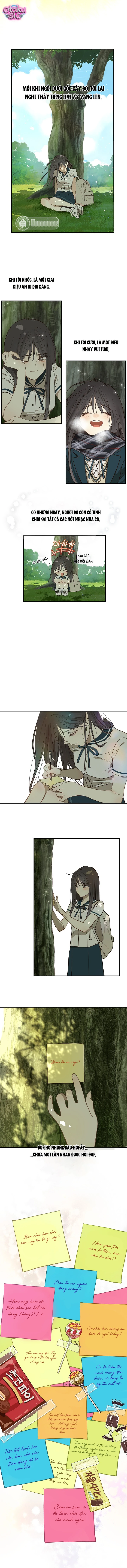Hoa Là Mồi Nhử - Chap 37 - Trang 5