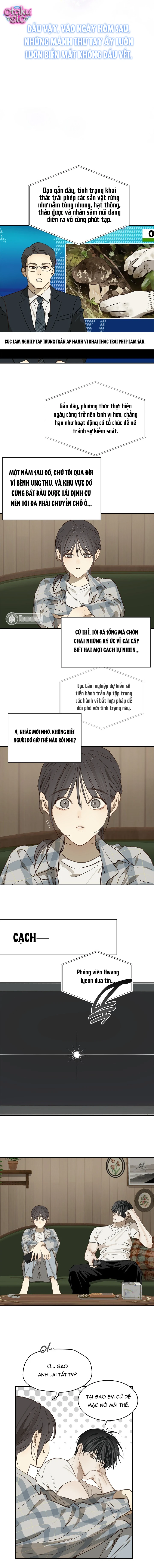 Hoa Là Mồi Nhử - Chap 37 - Trang 6