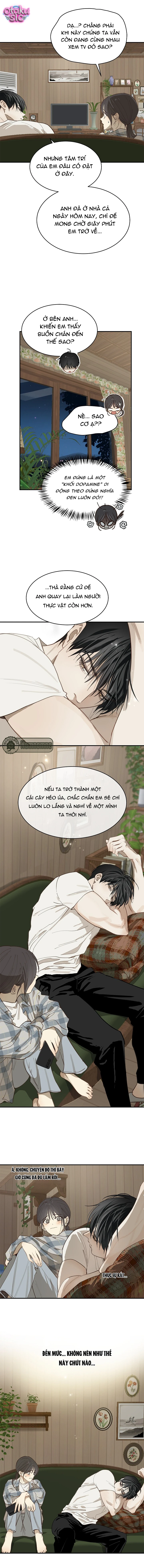 Hoa Là Mồi Nhử - Chap 37 - Trang 7