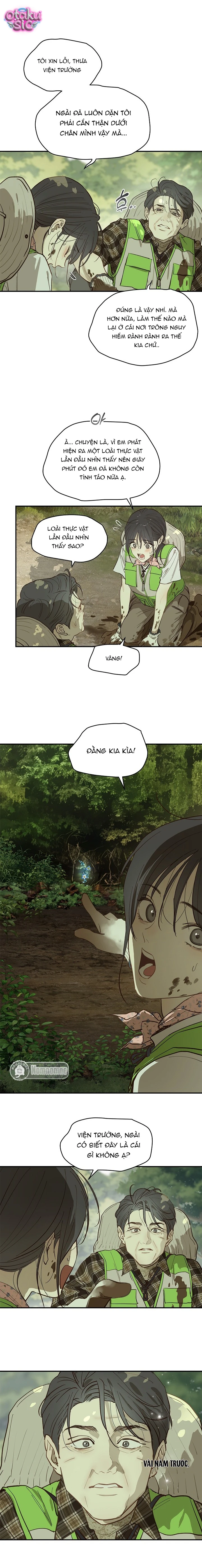 Hoa Là Mồi Nhử - Chap 38 - Trang 11