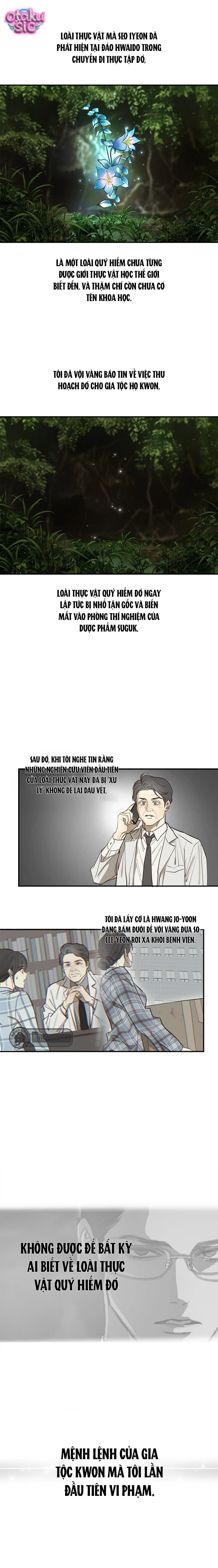 Hoa Là Mồi Nhử - Chap 38 - Trang 12