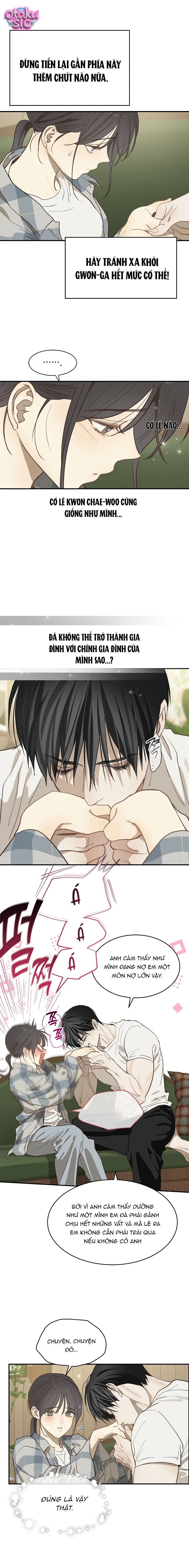Hoa Là Mồi Nhử - Chap 38 - Trang 16