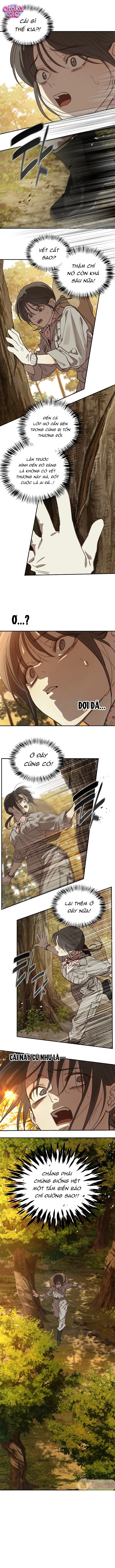 Hoa Là Mồi Nhử - Chap 39 - Trang 6