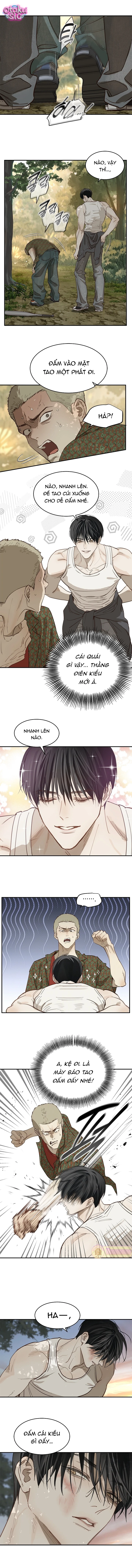 Hoa Là Mồi Nhử - Chap 40 - Trang 8