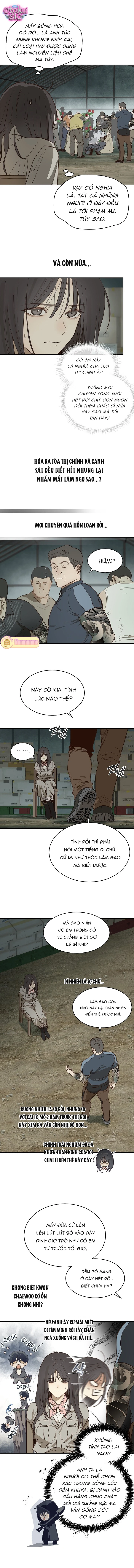 Hoa Là Mồi Nhử - Chap 41 - Trang 1