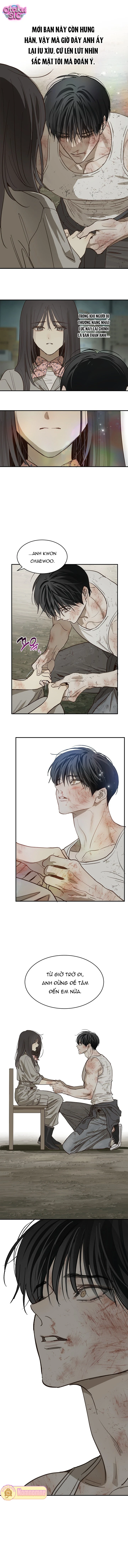 Hoa Là Mồi Nhử - Chap 41 - Trang 11