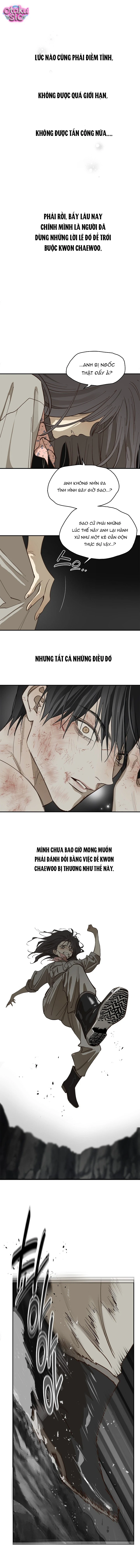 Hoa Là Mồi Nhử - Chap 41 - Trang 6