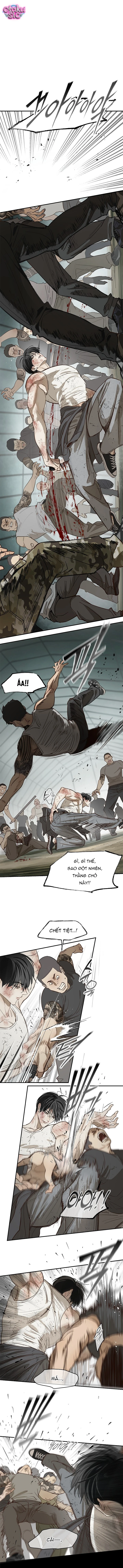 Hoa Là Mồi Nhử - Chap 41 - Trang 8