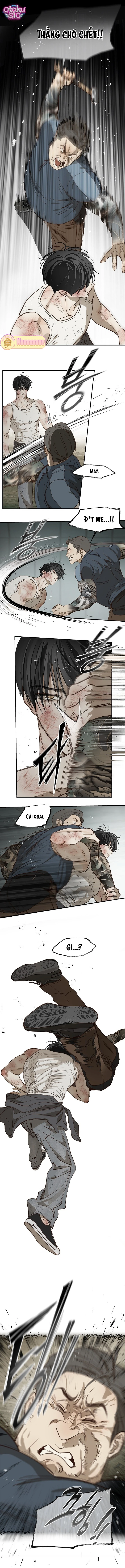 Hoa Là Mồi Nhử - Chap 41 - Trang 9