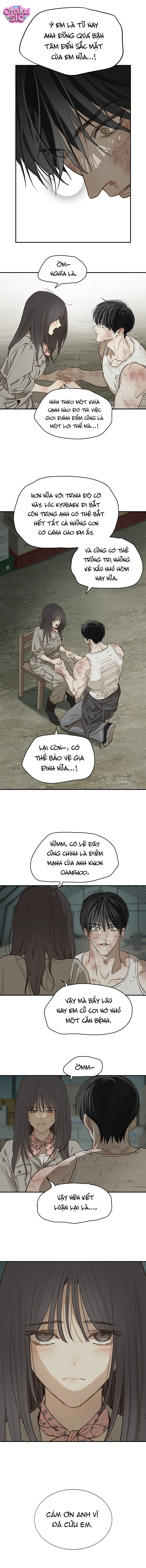 Hoa Là Mồi Nhử - Chap 42 - Trang 1