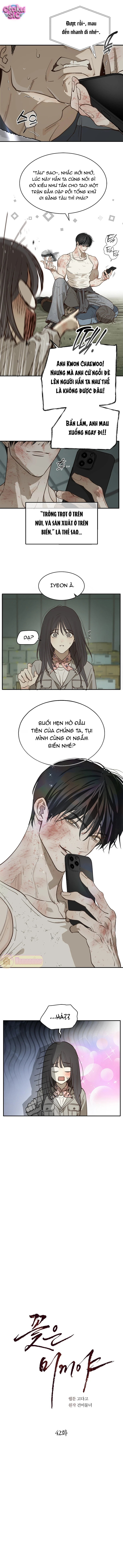 Hoa Là Mồi Nhử - Chap 42 - Trang 4
