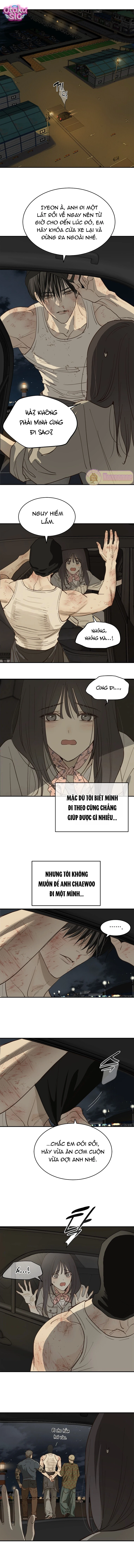 Hoa Là Mồi Nhử - Chap 42 - Trang 7