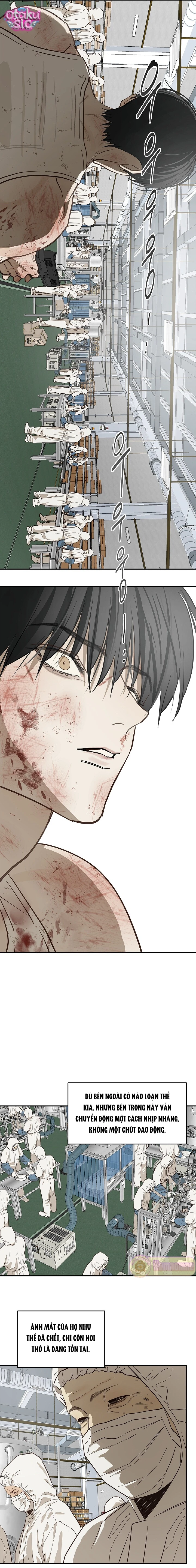 Hoa Là Mồi Nhử - Chap 43 - Trang 14